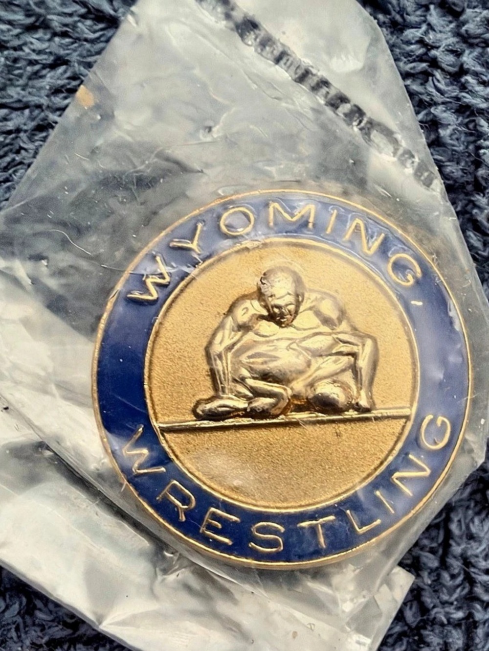 WYOMING WRESTLING Brooch/Pin Gold & Blue pin